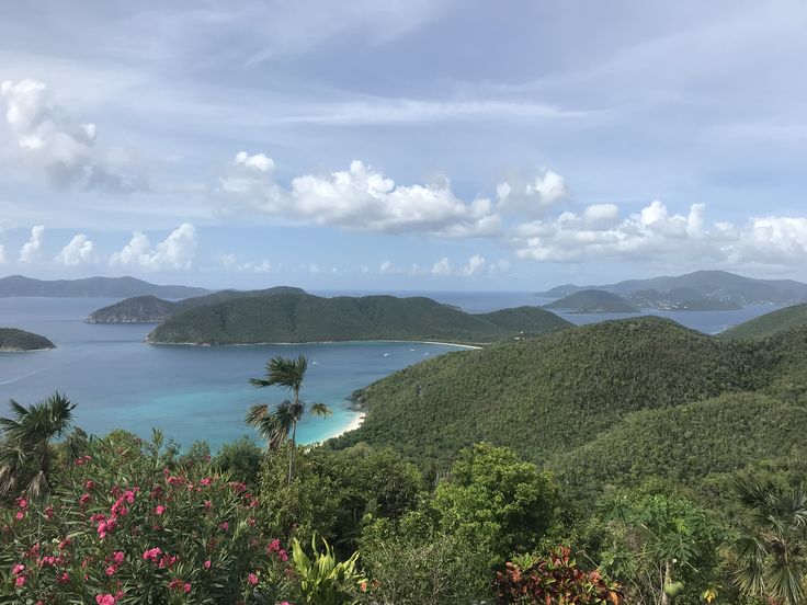 an island surrounded by tropical vegetation and blue water with pink flowers in the foreground