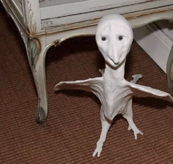 a weird looking animal standing on its hind legs in front of a white coffee table