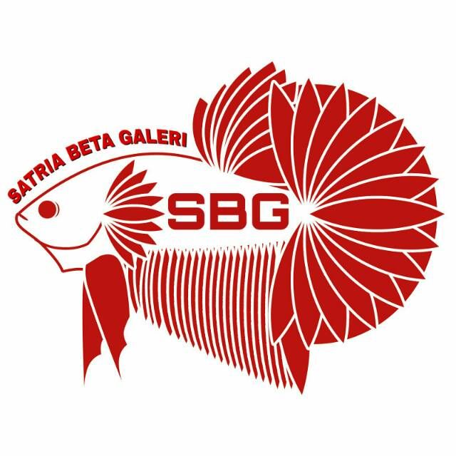 Logo Ikan Cupang Plakat Di 2021 Ikan Cupang Ikan Betta