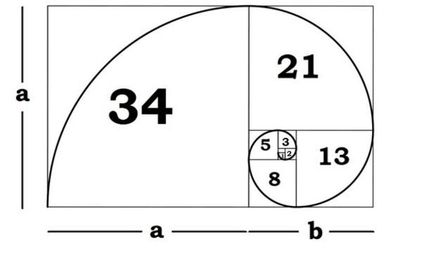 the golden section with numbers and letters on it, as well as an area for each letter