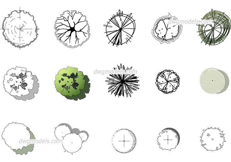 the different types of trees and shrubs are shown in this drawing tool box, which shows how to draw them