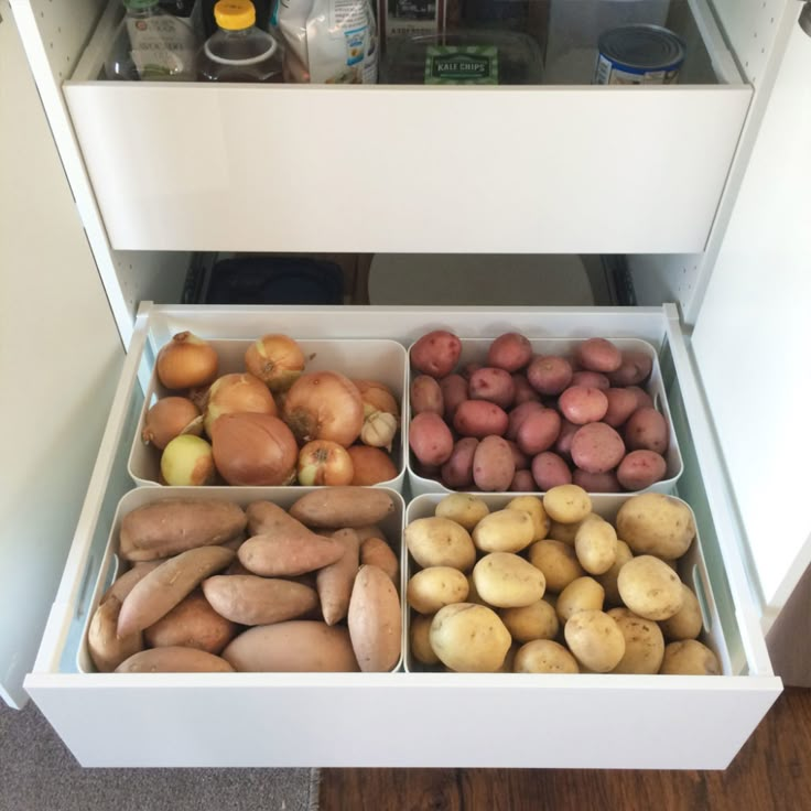 four bins filled with different types of fruits and vegetables in front of an open refrigerator