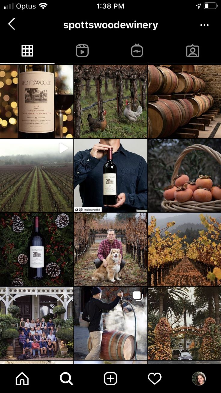 an iphone photo collage with many different pictures and wine bottles on the bottom right hand corner