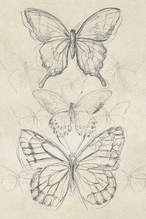 three butterflies are shown in black and white, one is drawn with pencil on paper