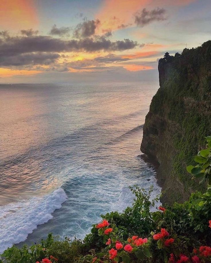 the sun is setting over the ocean and flowers are blooming on the cliff side