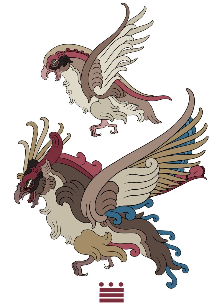 two birds with different colors and designs on their wings