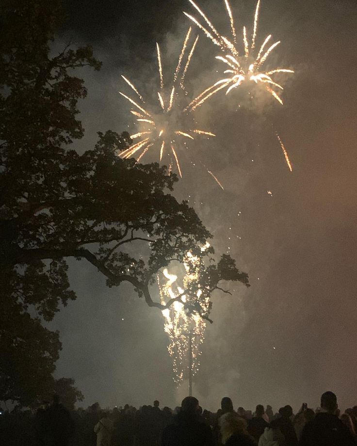 fireworks are lit up in the night sky with people standing around looking at them and watching