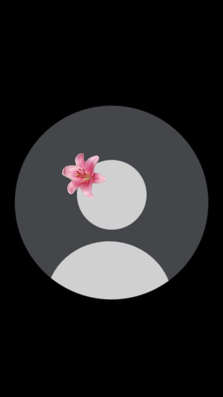 a pink flower sitting on top of a white circle