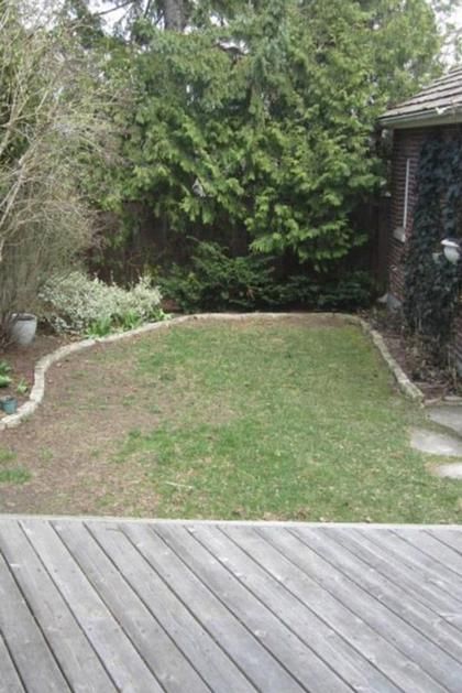 the back yard has been cleaned and ready to be used