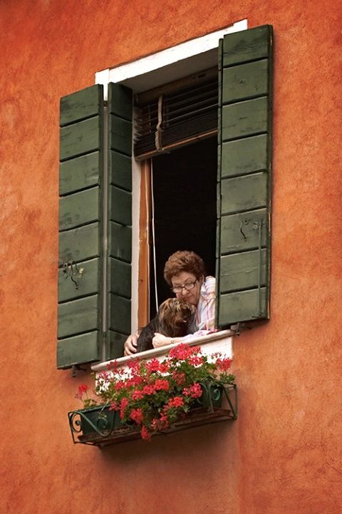 a woman is looking out the window with flowers in front of her and an orange building behind her