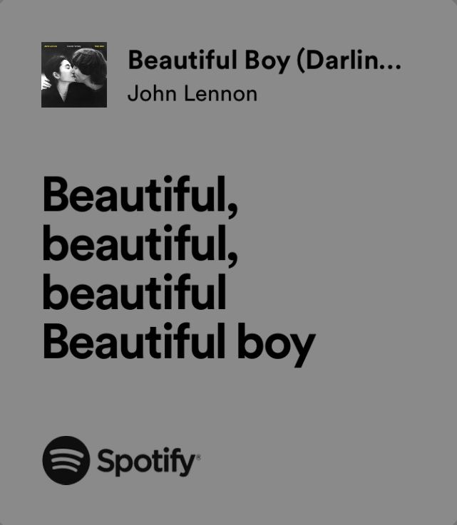 the cover art for spotify's beautiful boy album