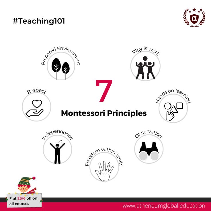 A static post showing 7 principle of Montessori education Early Childhood Education, Montessori, Montessori Theory, Montessori Teacher, Love Of Learning, Teaching Career, Montessori Education, Online Teachers, Hands On Learning