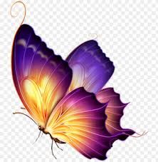 a purple butterfly with white wings flying in the sky, hd png image transparent background