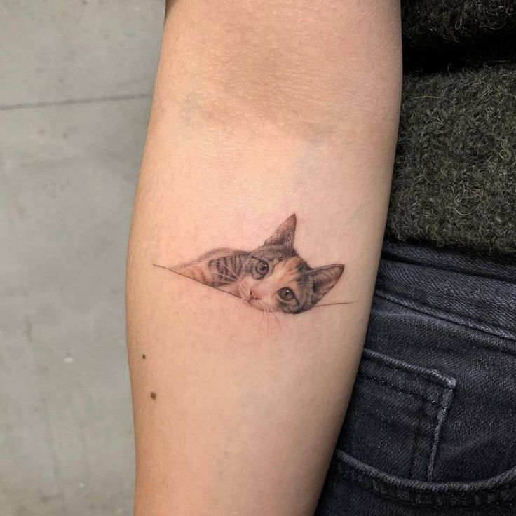 a small cat tattoo on the arm