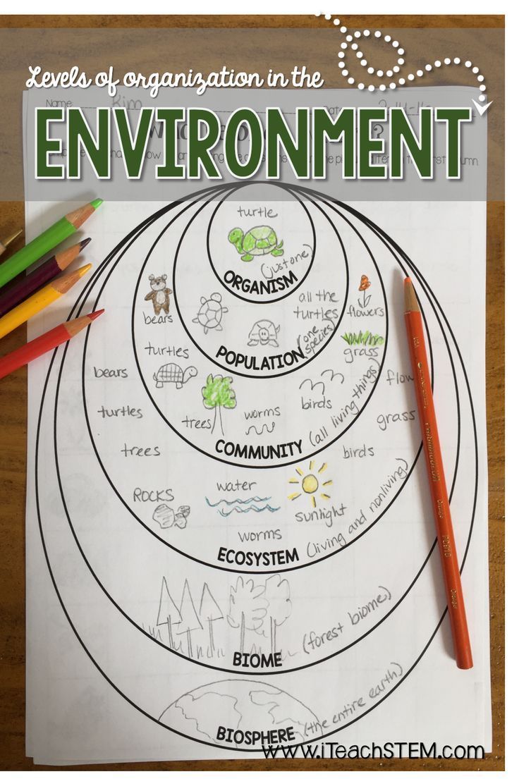 a poster with the words environmental on it and an image of pencils next to it