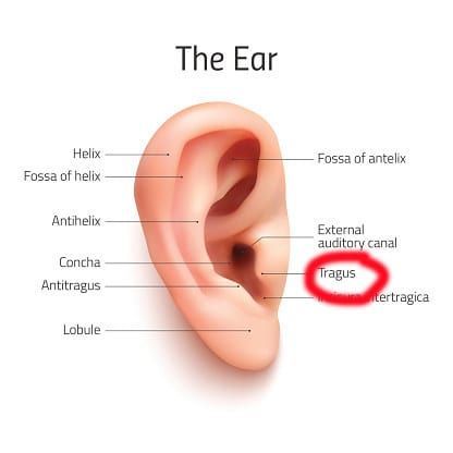 Itchy Ears Remedies, Ear Pain Remedies, Ear Structure, Inside Ear, Itchy Ears, Ear Pressure, Outer Ear, Middle Ear, Human Ear