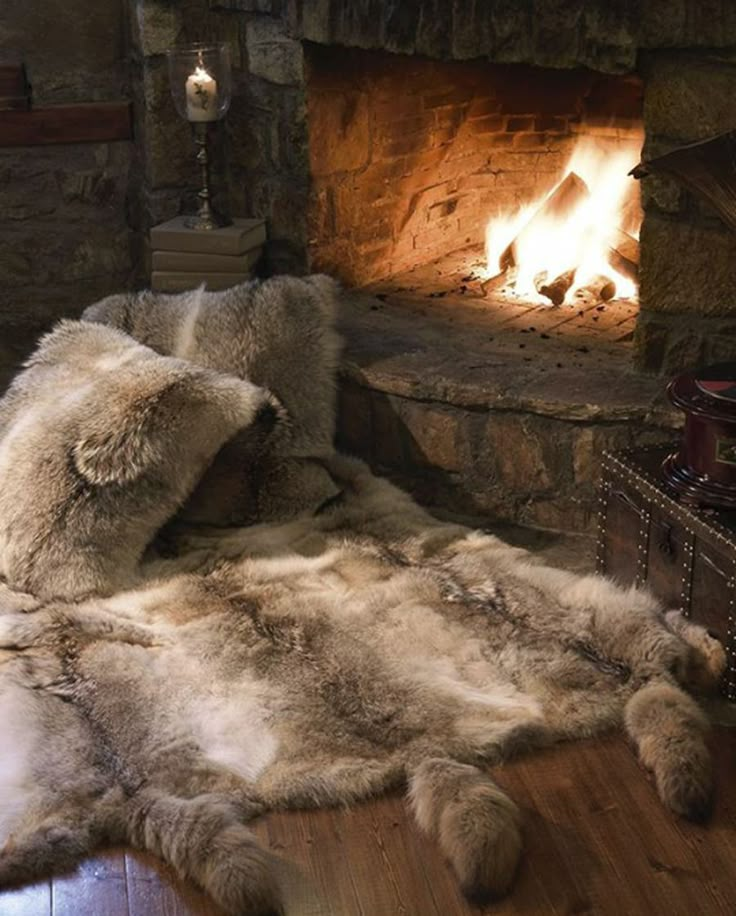 a large furry animal rug sitting on top of a wooden floor next to a fire place