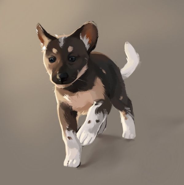 a digital painting of a puppy running on a gray background with one paw in the air