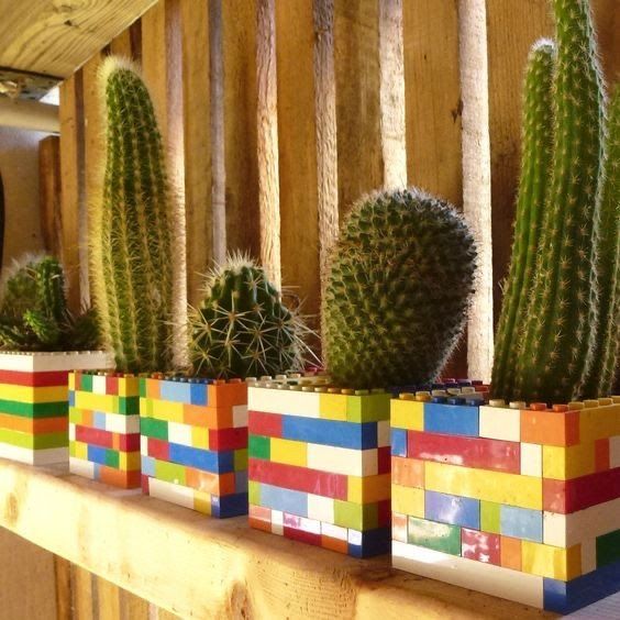 several different types of cactus in colorful boxes on a wooden ledge with wood slats