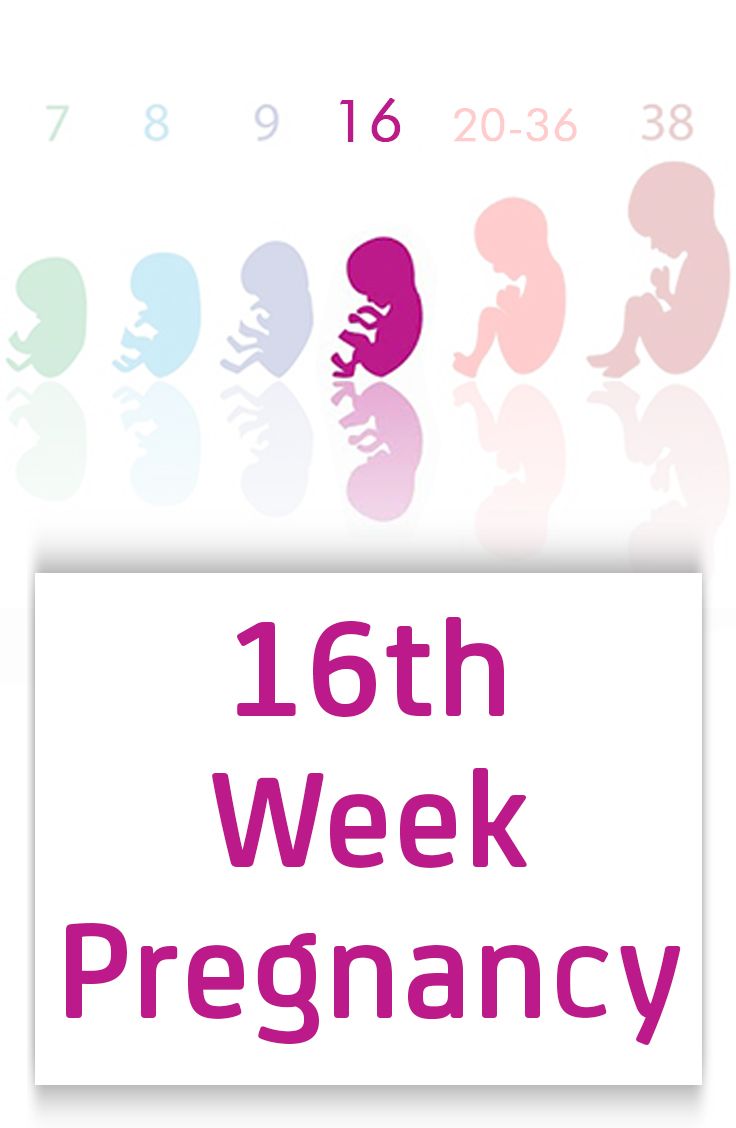 an image of a baby's birth date with the words 25 - week pregancy