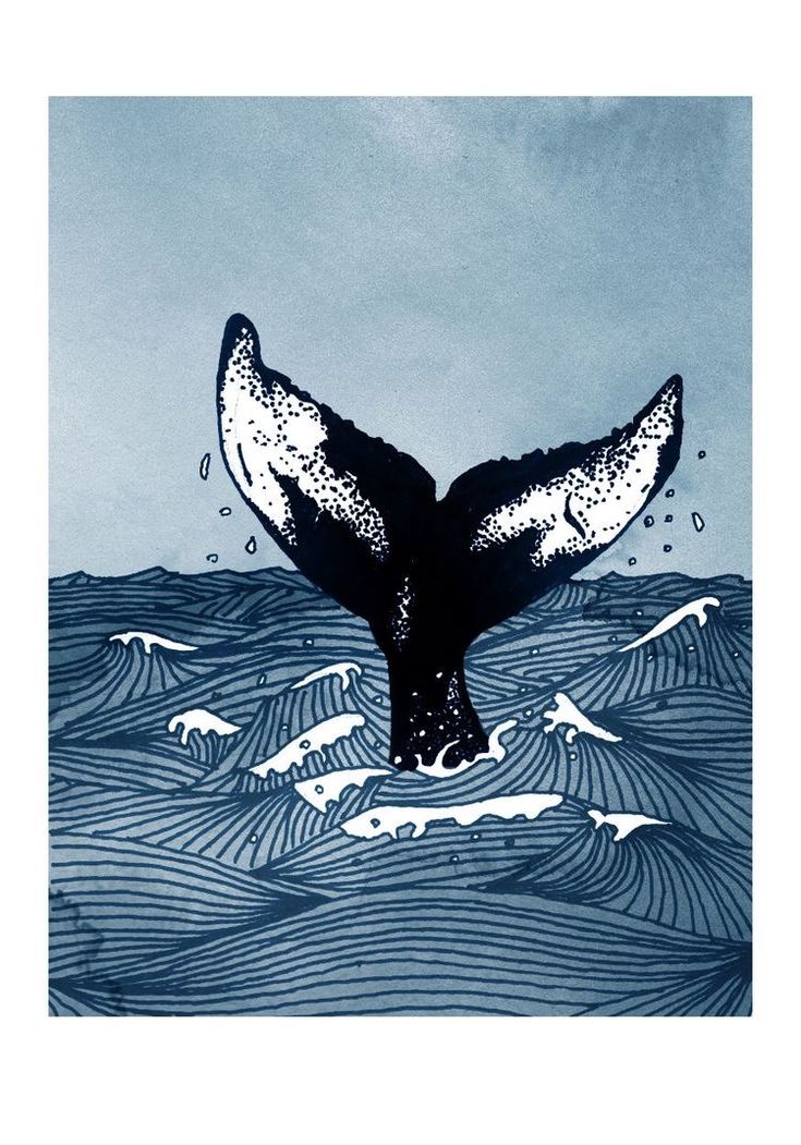 a whale's tail is in the water with birds flying around and on top of it