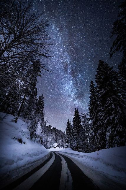 the night sky is filled with stars and snow as well as trees on either side