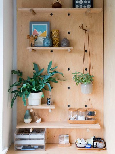 a shelf with some plants and other items on it