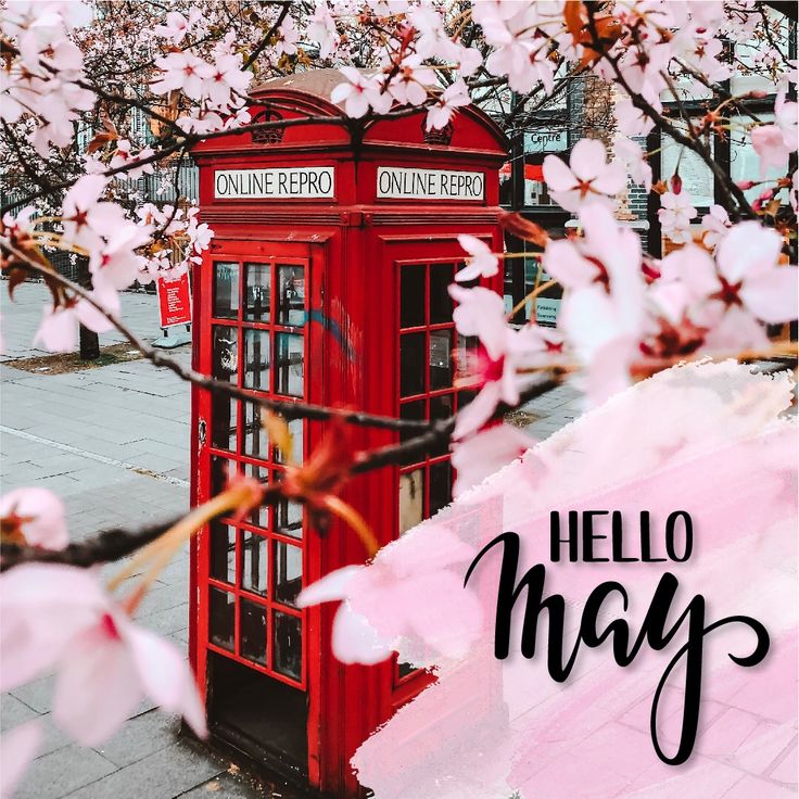 a red phone booth sitting on the side of a road next to a blossoming tree