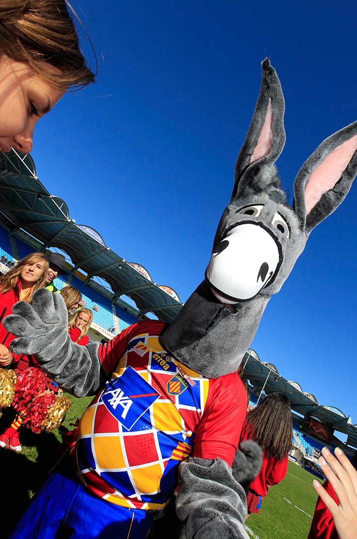 a person in a donkey costume standing next to another person wearing a bunny suit at a soccer game