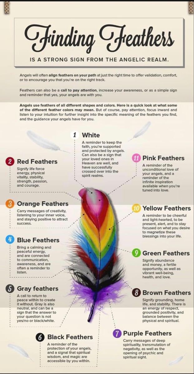 Feather Color Meaning, Mystical Items, Feather Magic, Finding Feathers, Feather Meaning, Simple Signs, Wiccan Spell Book, Witchcraft Spell Books, Witch Spell Book