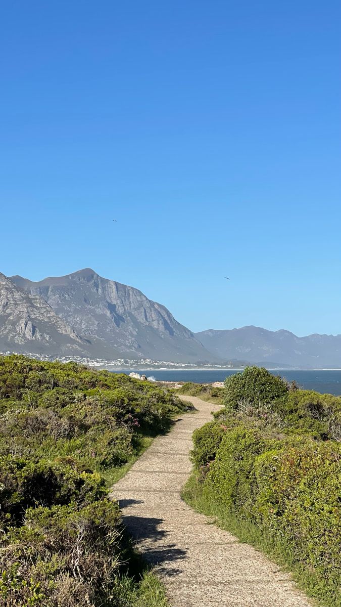 a dirt path leading to the ocean with mountains in the backgroung and blue sky