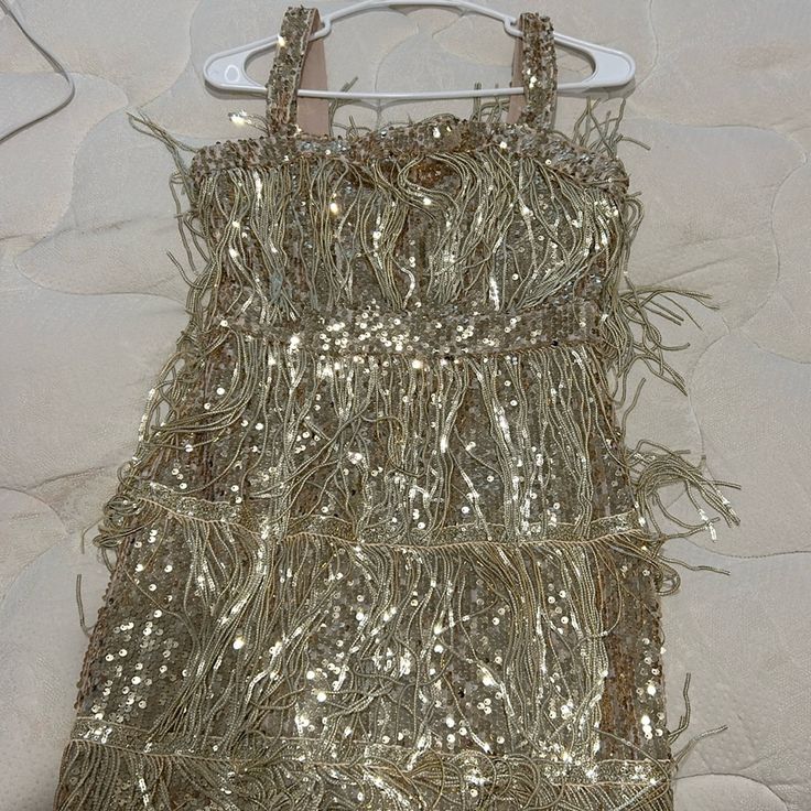 Love This Dress! It Has Little Tassels Like Taylor Swifts Version :) Never Worn! Taylor Swift Gold Fringe Dress, Gold Embellished Flapper Dress, Gold Sparkle Dress, Gold Embellished Mini Sequin Dress, Gold Sequined Tutu Dress For Dress-up, Gold Sparkle Dresses, Champagne V-neck Mini Dress With Sequins, Sparkle Dress, Gold Sparkle