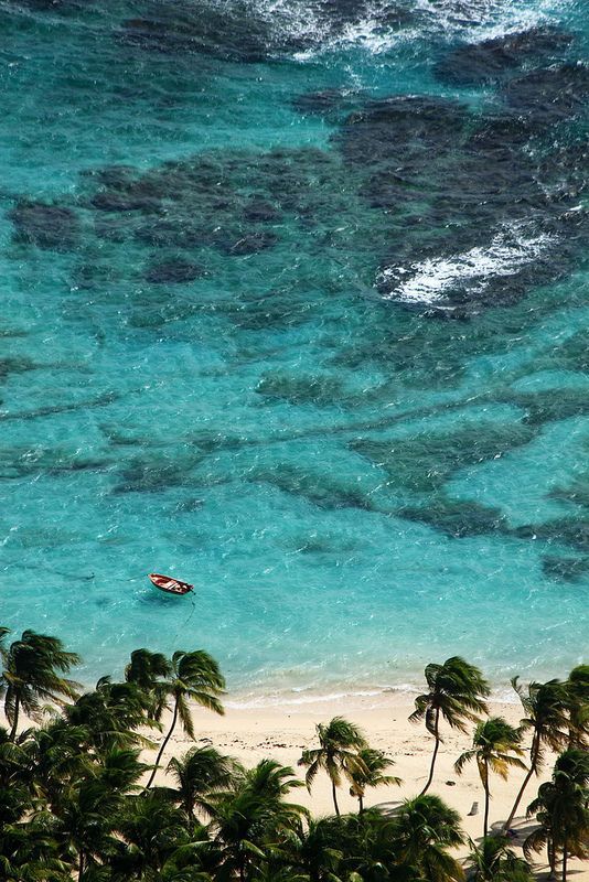 an aerial view of a beach with palm trees and a surfboard in the water