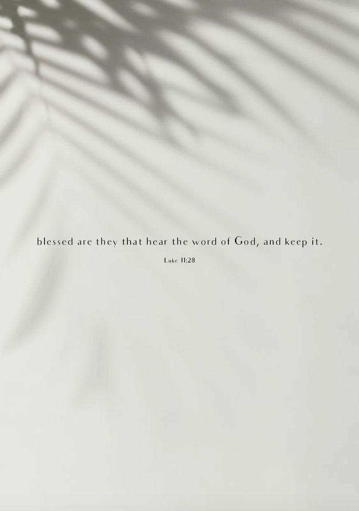 the shadow of a palm leaf on a white wall with a bible verse below it