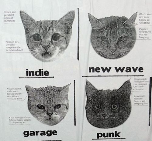 four different types of cats are shown in this advertisement for the new wave punk band