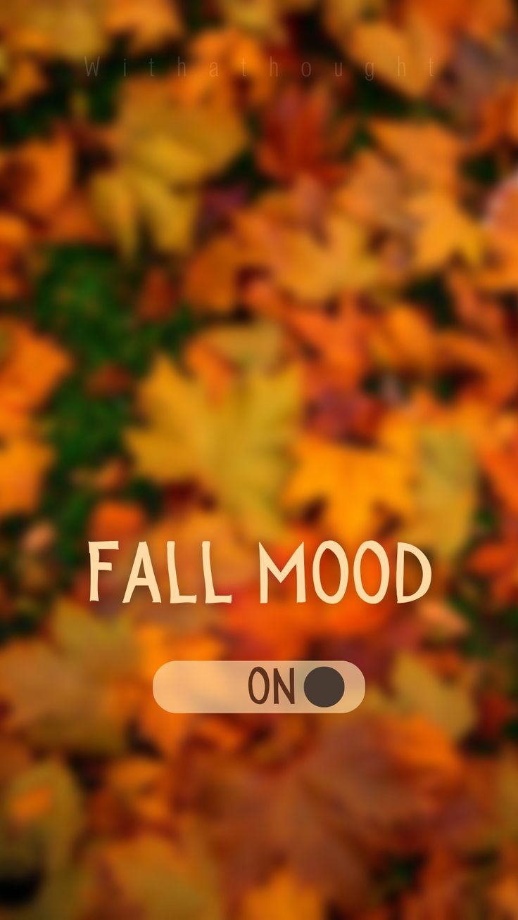 Fall 🖤 Wallpaper
Wallpapers 
Fall aesthetic wallpaper
Photography Fall
Edits & design
Canva 
Canva Edits
Fall photography edits
Raining fall 
Fall Wallpaper
Phone Wallpaper October
Dark October Halloween
October Means Something
Something about October 🖤
Hello Fall
#Octoberwallpaper
#welcomeoctober
#autumnshere
#octobersetting
#bookoctober
#octoberwriting
Fall Mood 
Fall Aesthetic Autumn
Autumn is here October Apple Watch Wallpaper, Hello Fall Aesthetic, Happy Fall Y'all Wallpaper, October Profile Picture, Ah September You Are The Doorway, Hello Fall Wallpaper Iphone, October 1st Aesthetic, Fall Mood Board Wallpaper, Preppy Fall Wallpaper Iphone