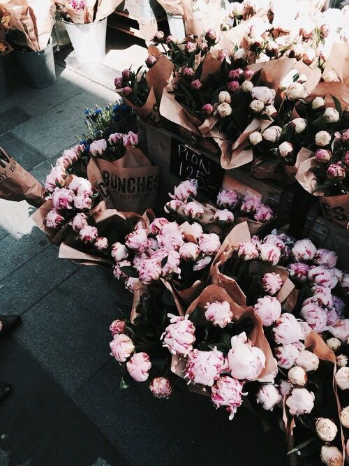 several bunches of pink and white flowers sitting on the ground next to each other