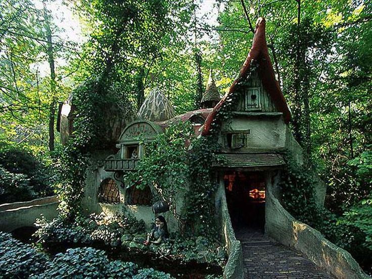 a house in the woods with ivy growing around it