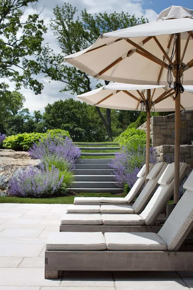 lounge chairs and umbrellas are lined up in front of a stone wall with lavender flowers