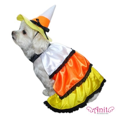 a white dog wearing a costume with a hat on it's head and yellow skirt