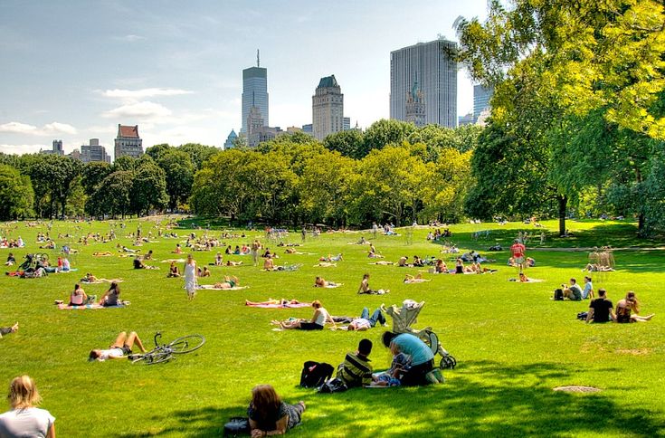 many people are sitting on the grass in a park with skyscrapers in the background