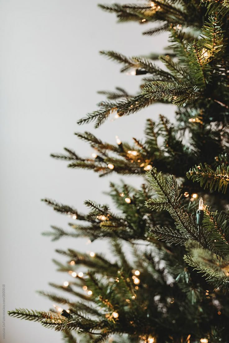 a close up of a christmas tree with lights