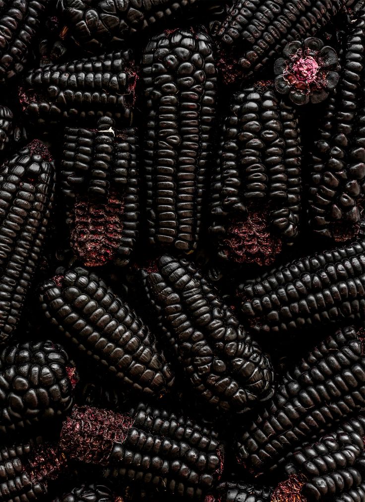 black corn is shown in this close up photo