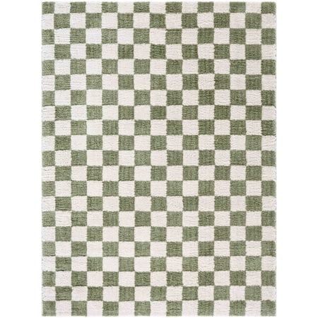 a green and white checkered rug on a white background with an area rug in the middle