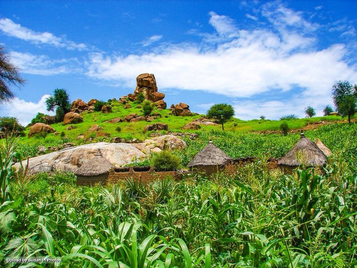 an area with grass, rocks and bushes on the side of it that has a rock formation in the middle