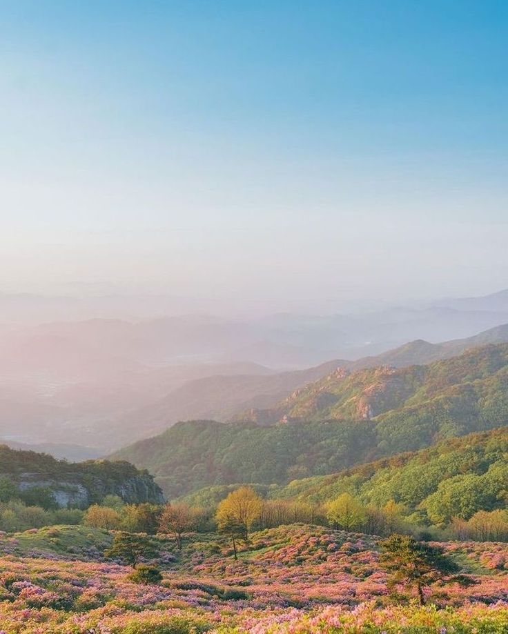 the mountains are covered in pink flowers and greenery as the sun is low in the sky