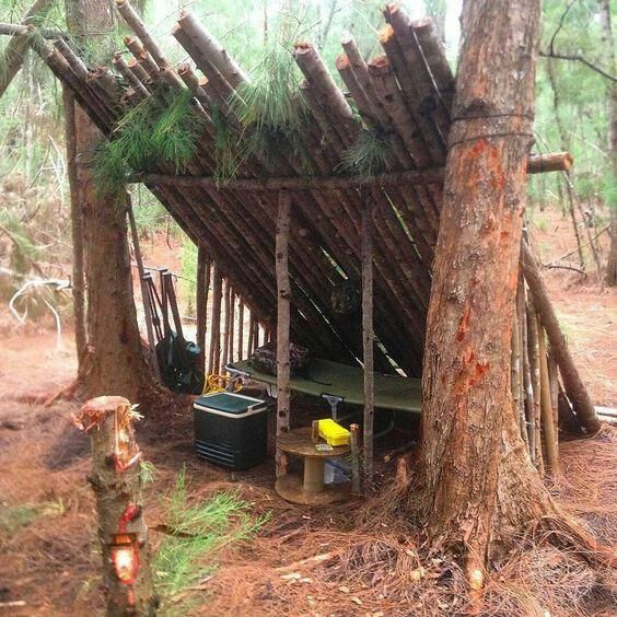 a wooden structure in the middle of a forest with lots of trees and other items