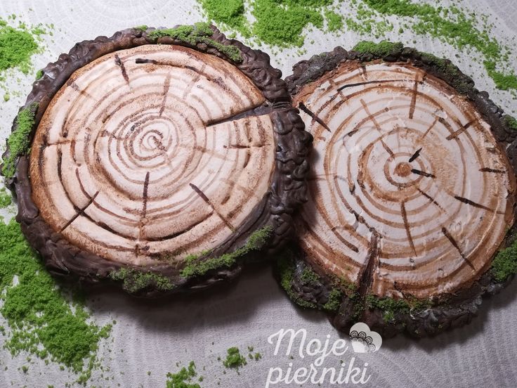 two pieces of wood that have been cut into circles with moss growing on them, sitting on a table