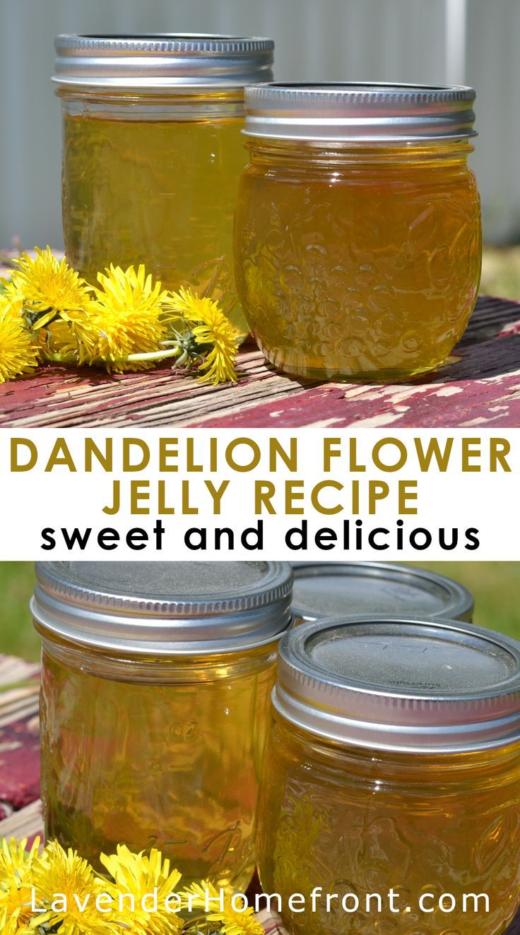 three mason jars filled with dandelion flower jelly and sitting on a picnic table