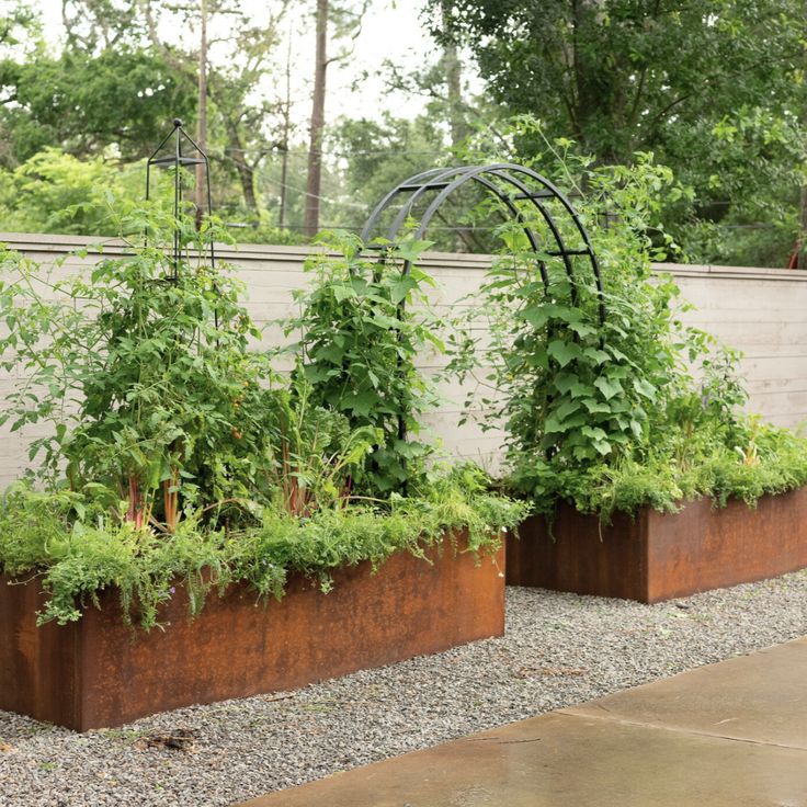 three metal planters filled with green plants on top of a gravel ground next to a wall